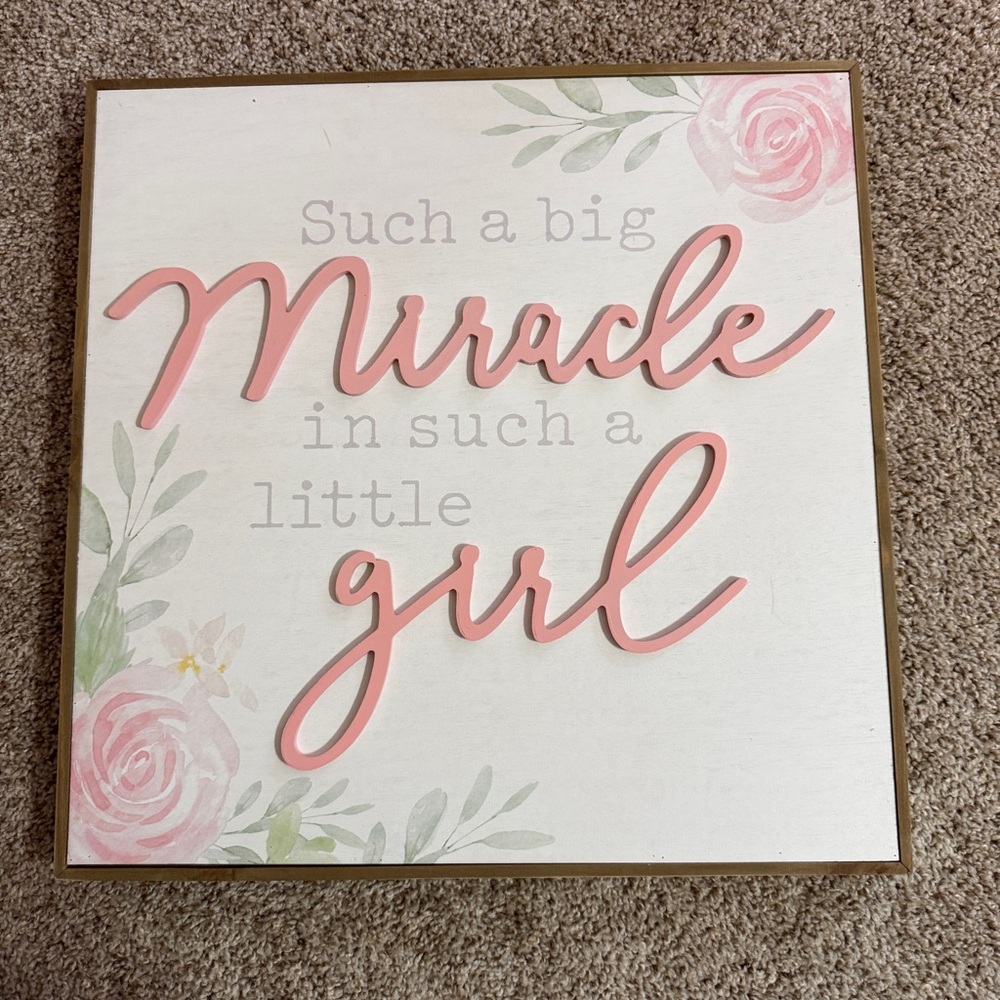 Hobby Lobby Pink and Green Miracle Wall Art
